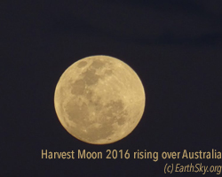 harvest-moon-sidney-australia-e1474044536249