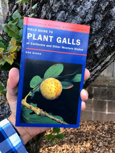 gall book